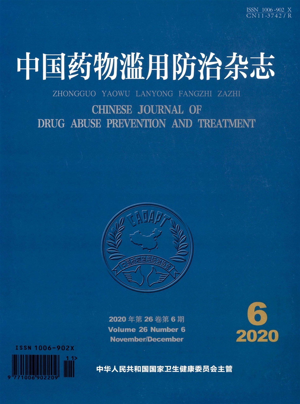 中國藥物濫用防治雜志