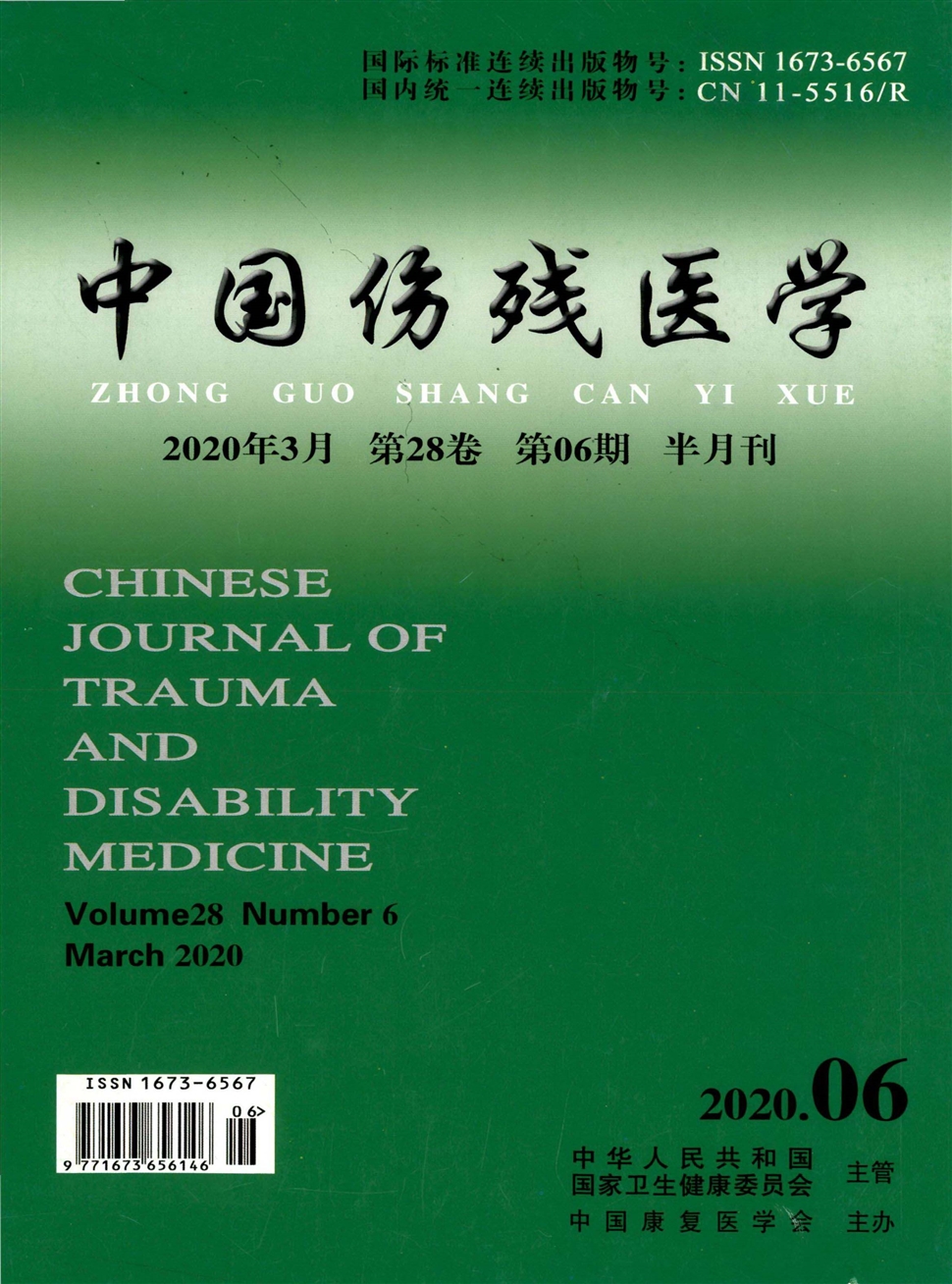 中國傷殘醫學