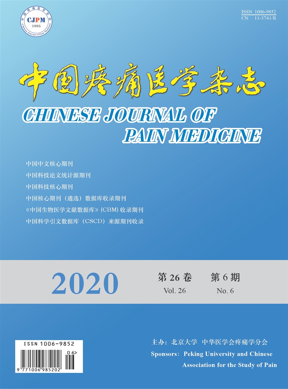 中國疼痛醫學雜志