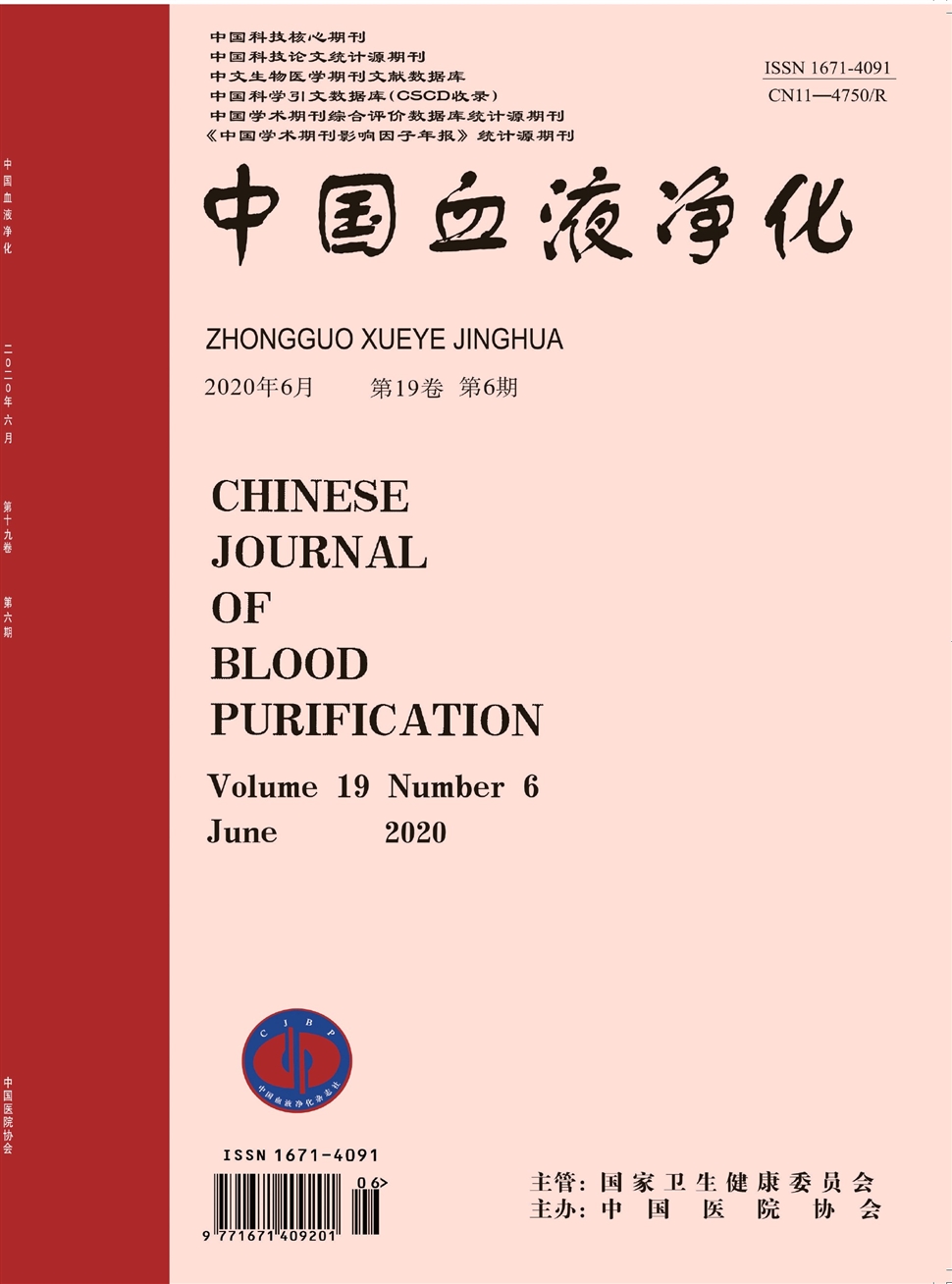 中國血液凈化