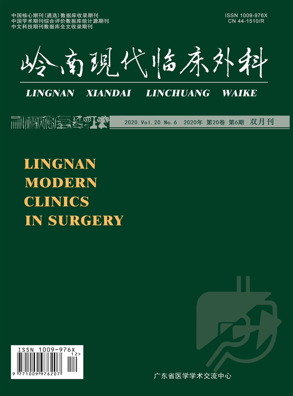 嶺南現代臨床外科