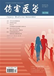 傷害醫學：電子版