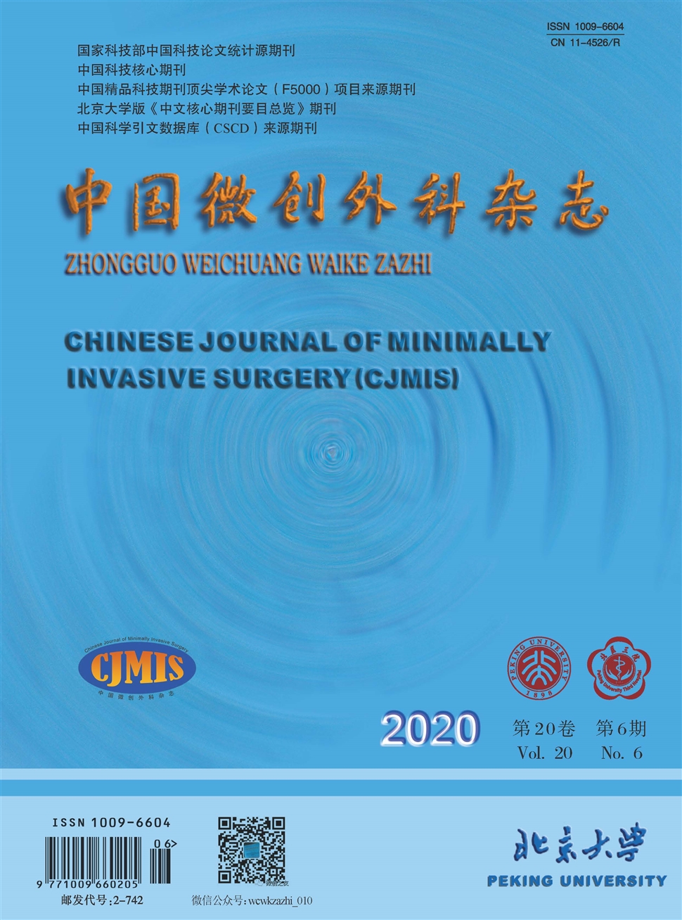中國微創外科雜志
