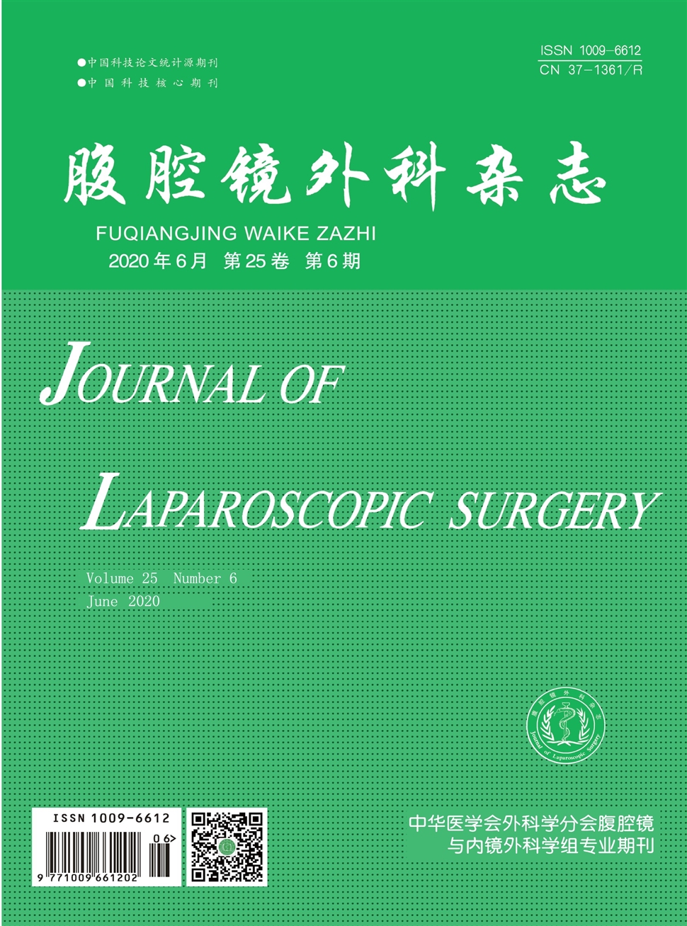 腹腔鏡外科雜志