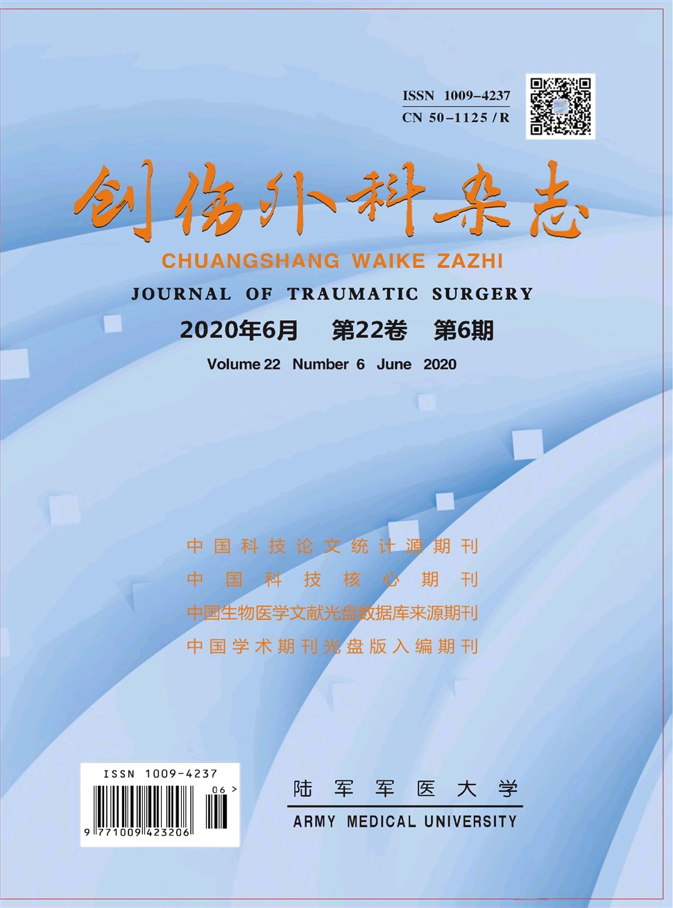 創傷外科雜志