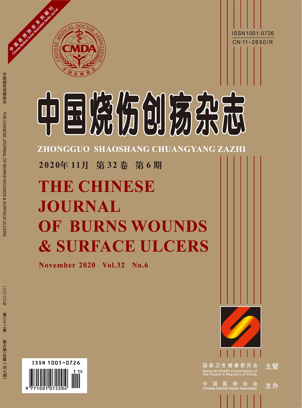 中國燒傷創瘍雜志