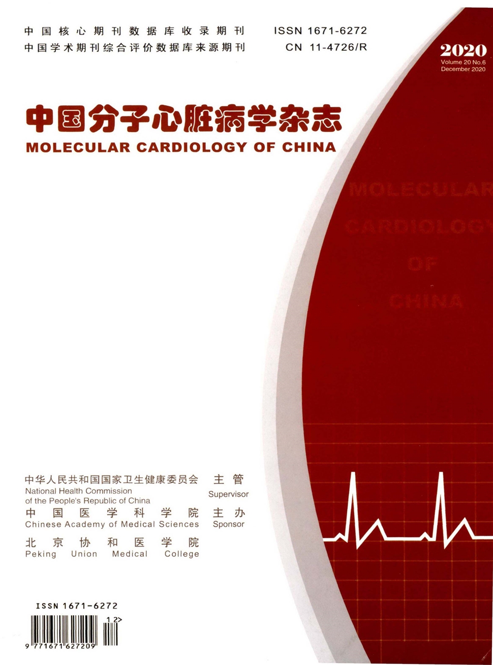 中國分子心臟病學雜志