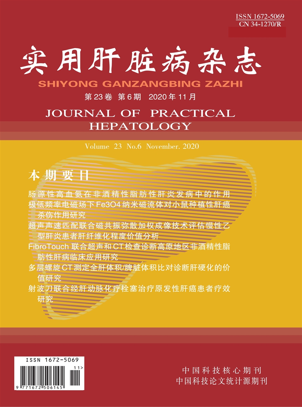 實用肝臟病雜志