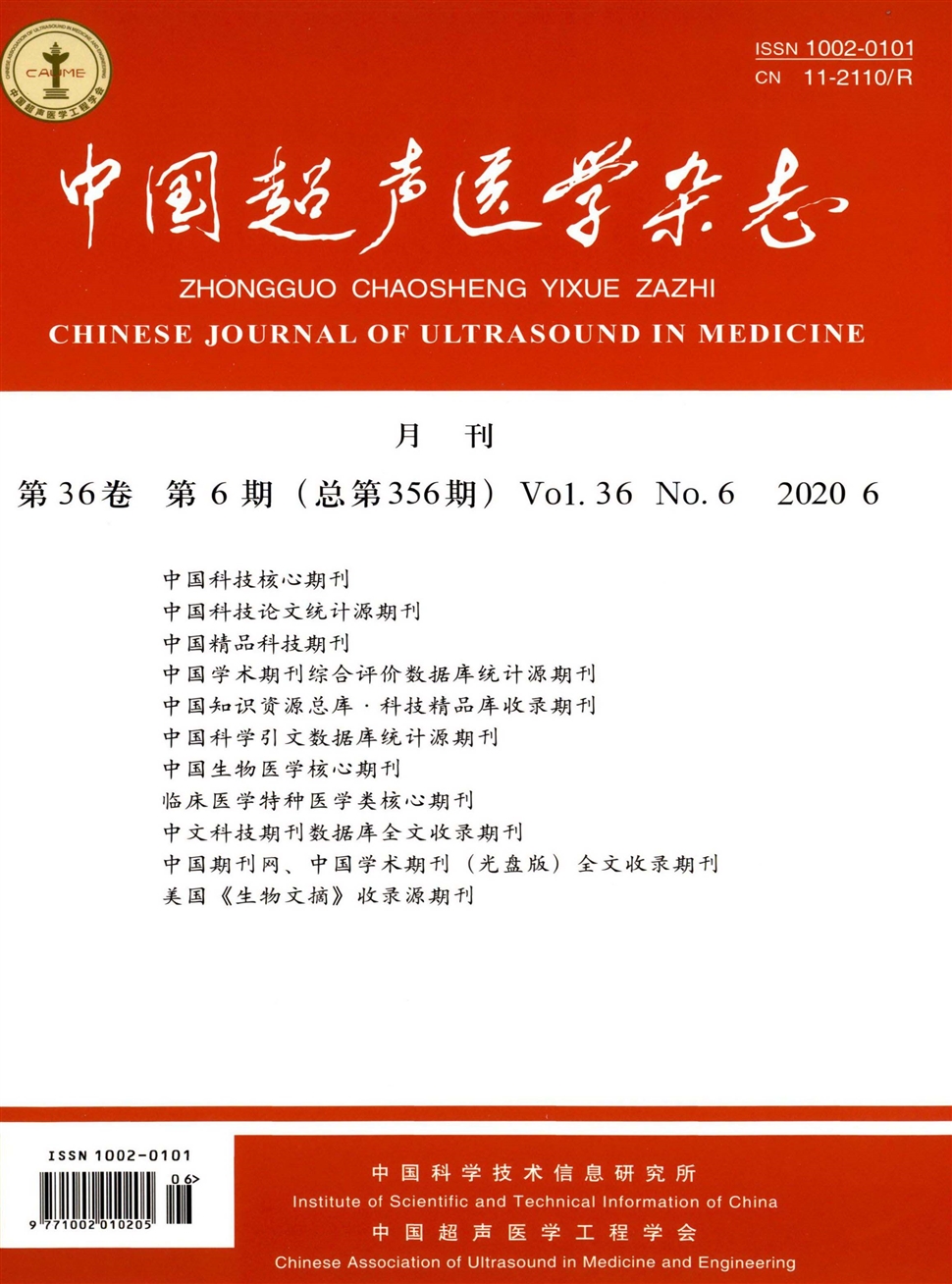 中國超聲醫學雜志