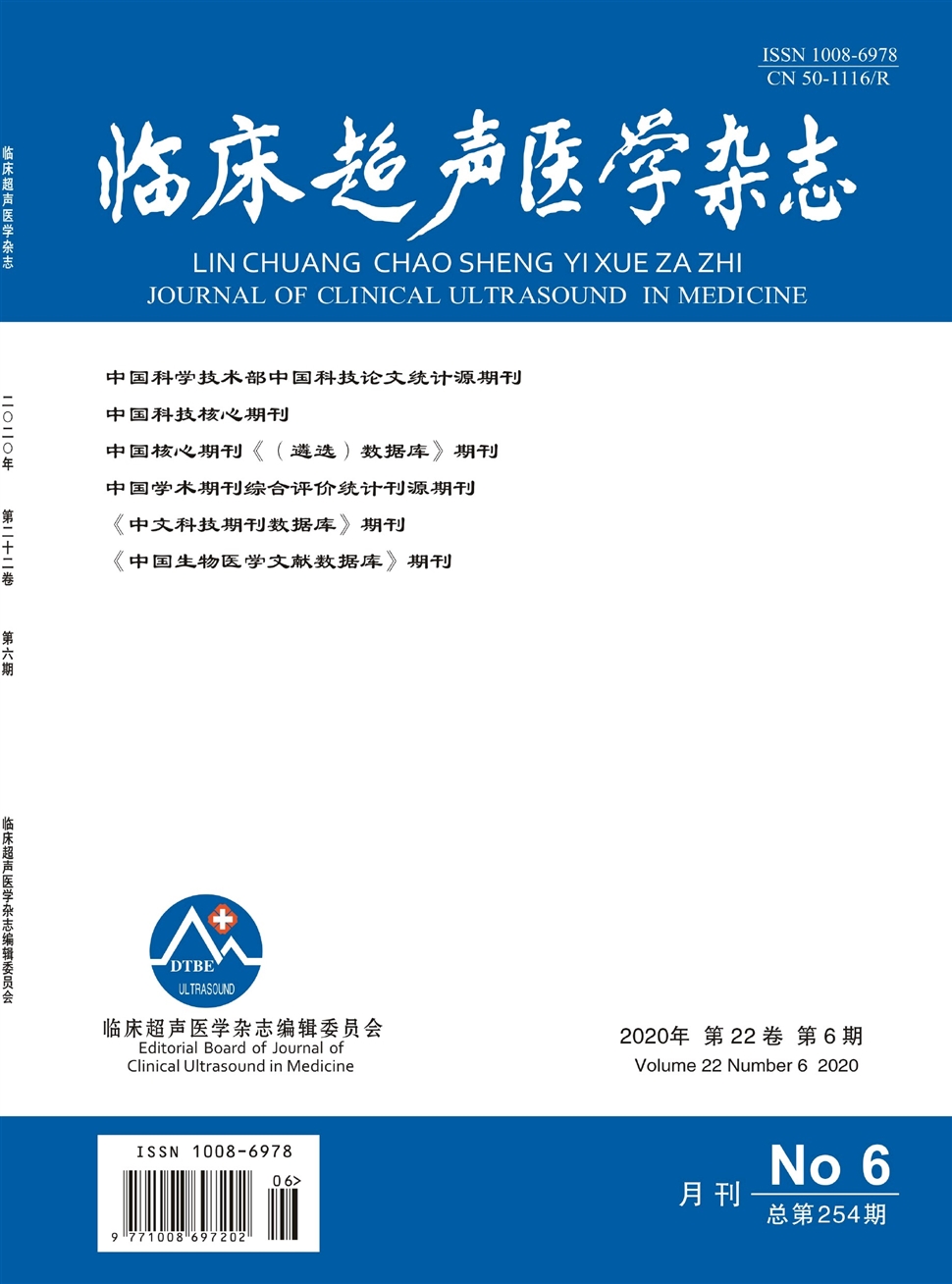 臨床超聲醫學雜志