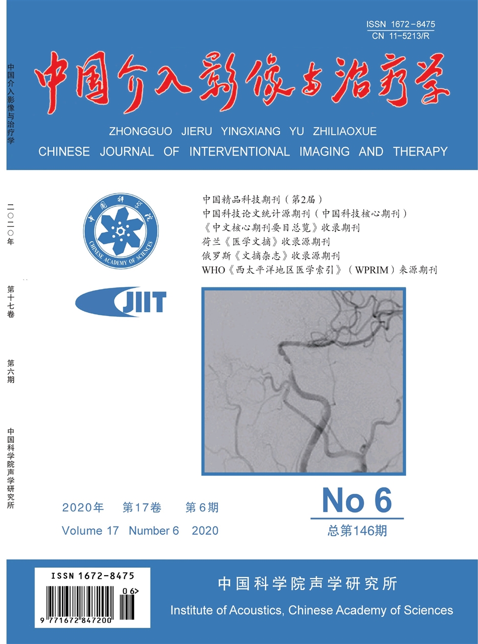中國介入影像與治療學