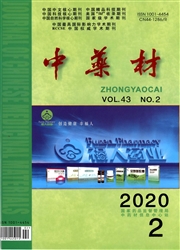 中藥材
