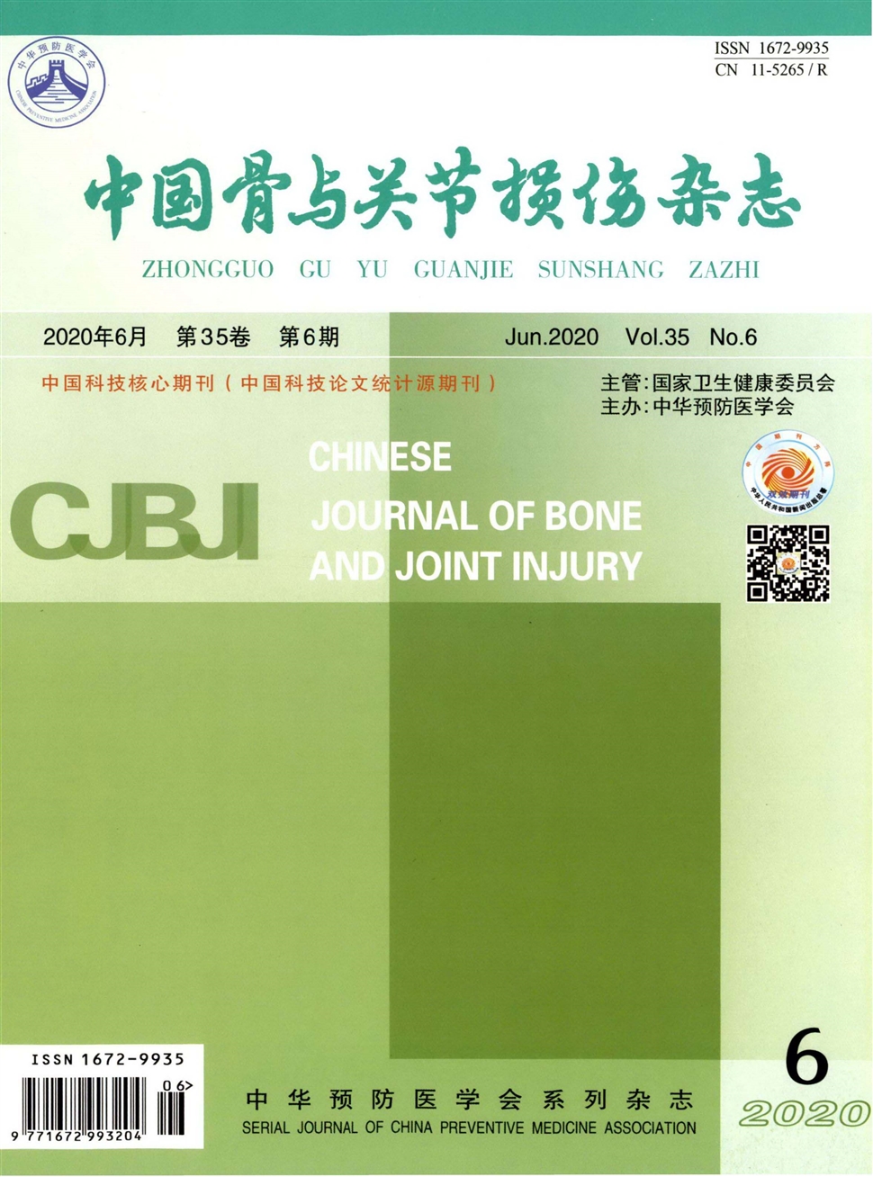 中國骨與關節損傷雜志