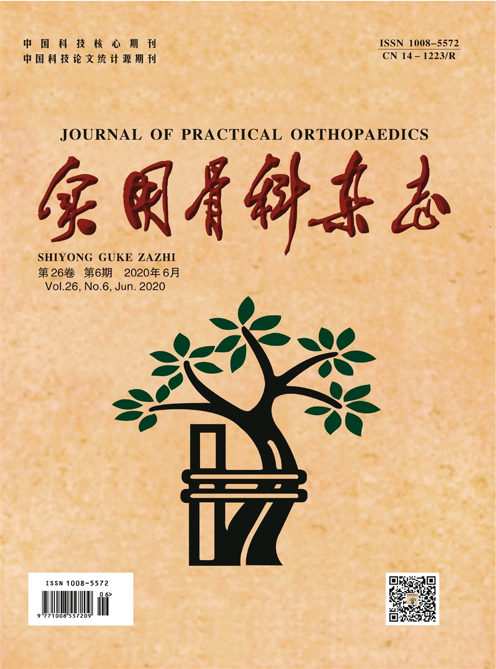 實用骨科雜志
