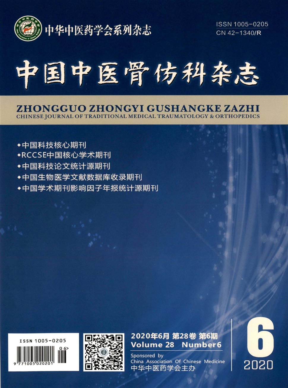 中國中醫骨傷科雜志