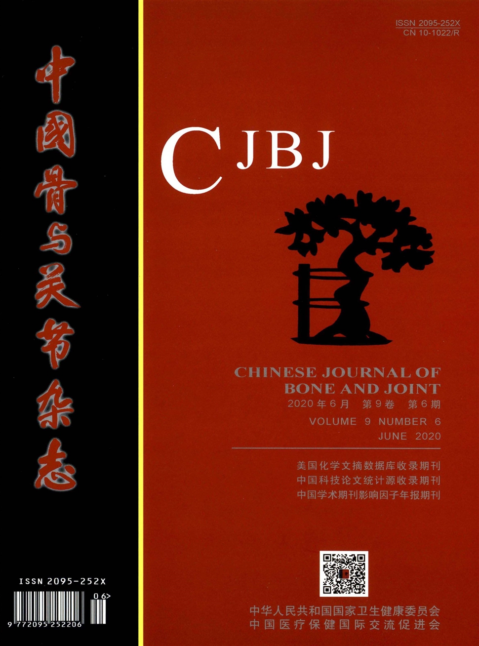 中國骨與關節雜志