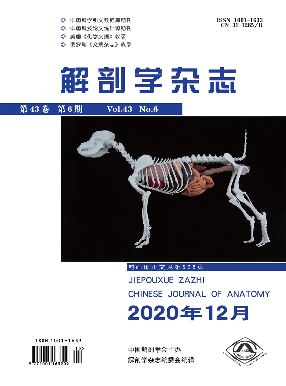 解剖學雜志