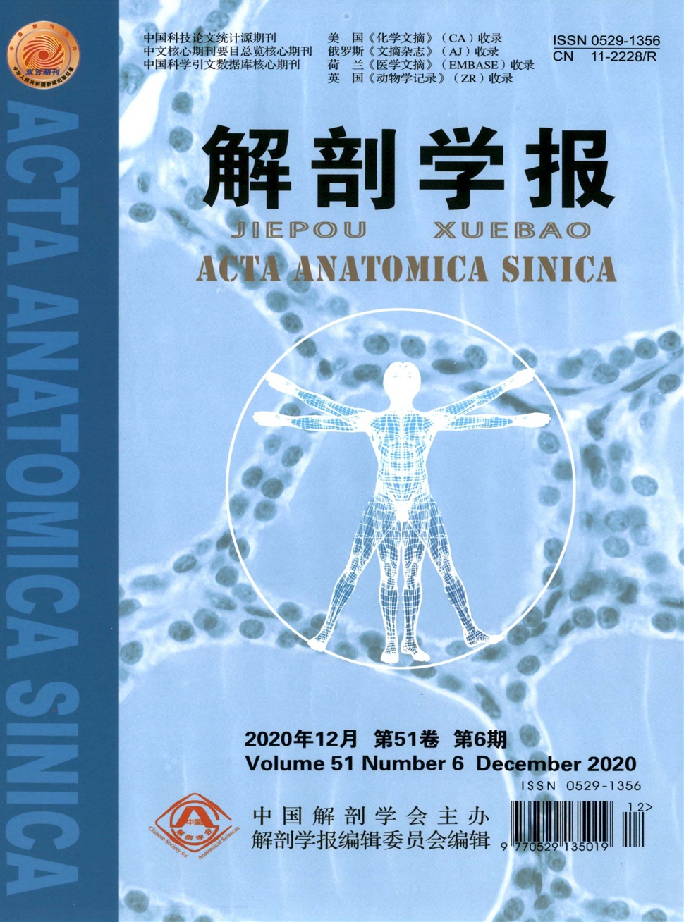 解剖學報