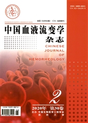 中國血液流變學雜志