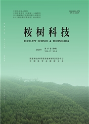 桉樹科技