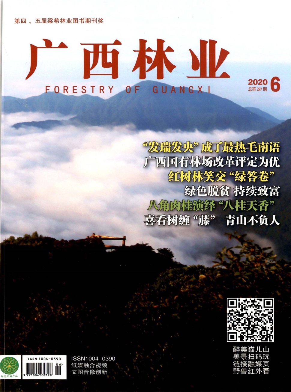 廣西林業