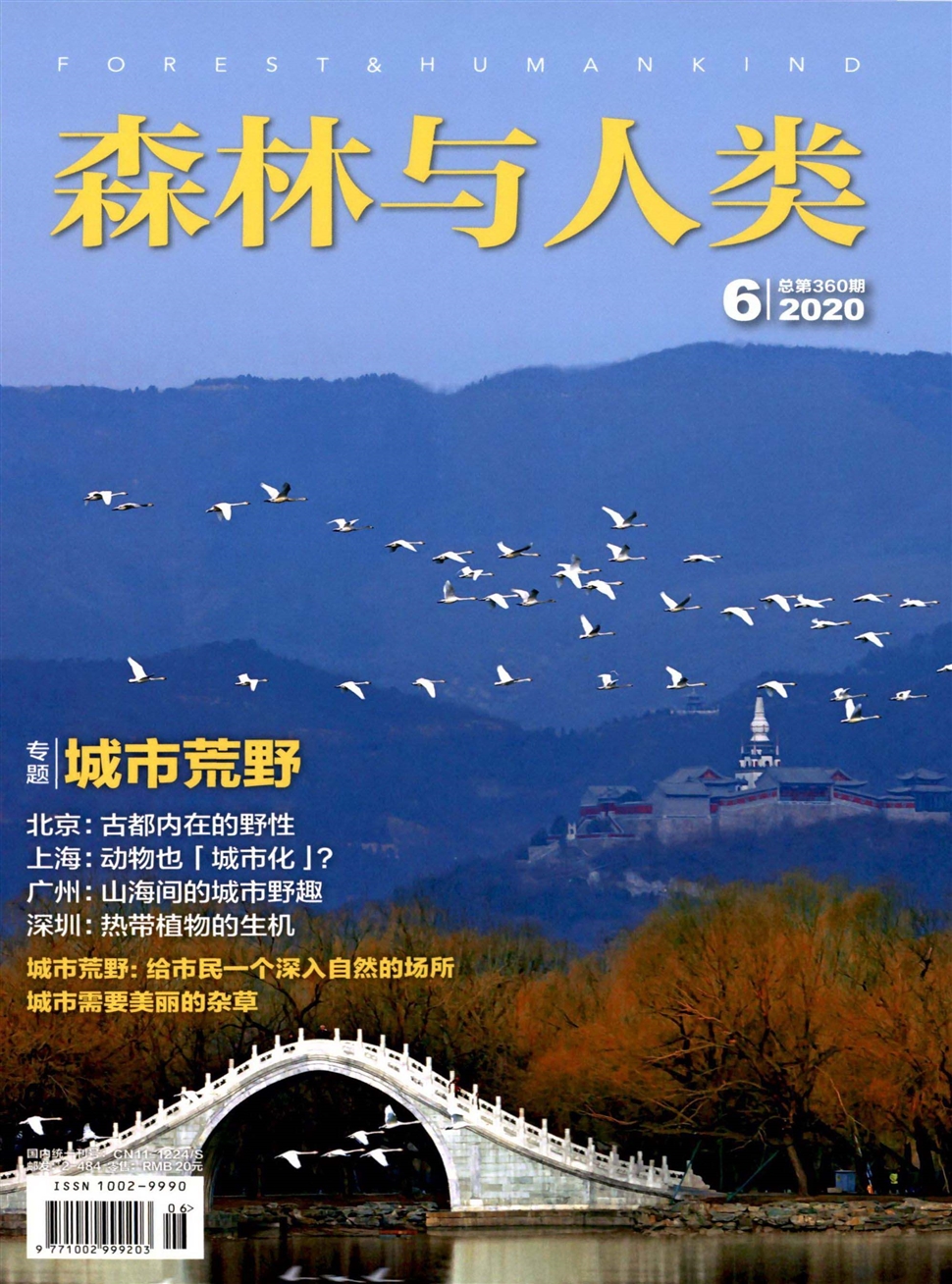 森林與人類