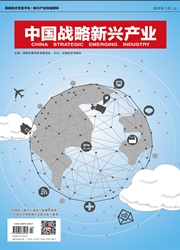 中國戰略新興產業：理論版