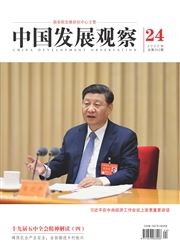 中國發展觀察