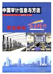 中國審計信息與方法