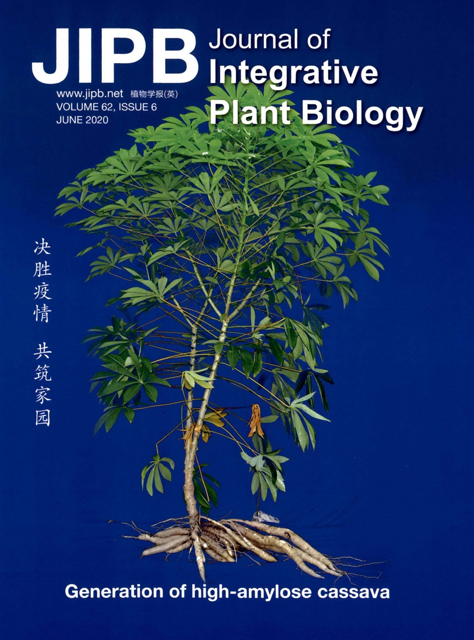 植物學報：英文版