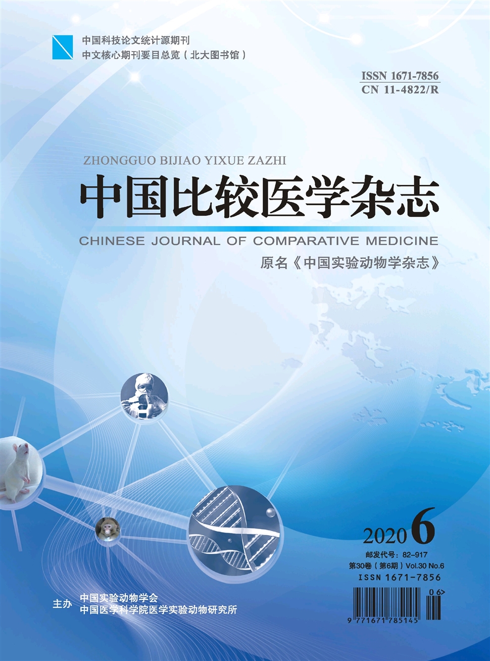 中國比較醫學雜志