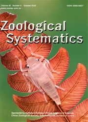 動物分類學報：英文版