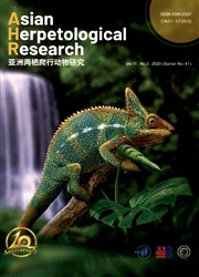亞洲兩棲爬行動物研究：英文版