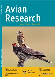 鳥類學研究：英文版