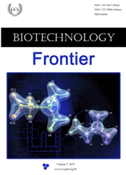生物工程前沿：中英文版