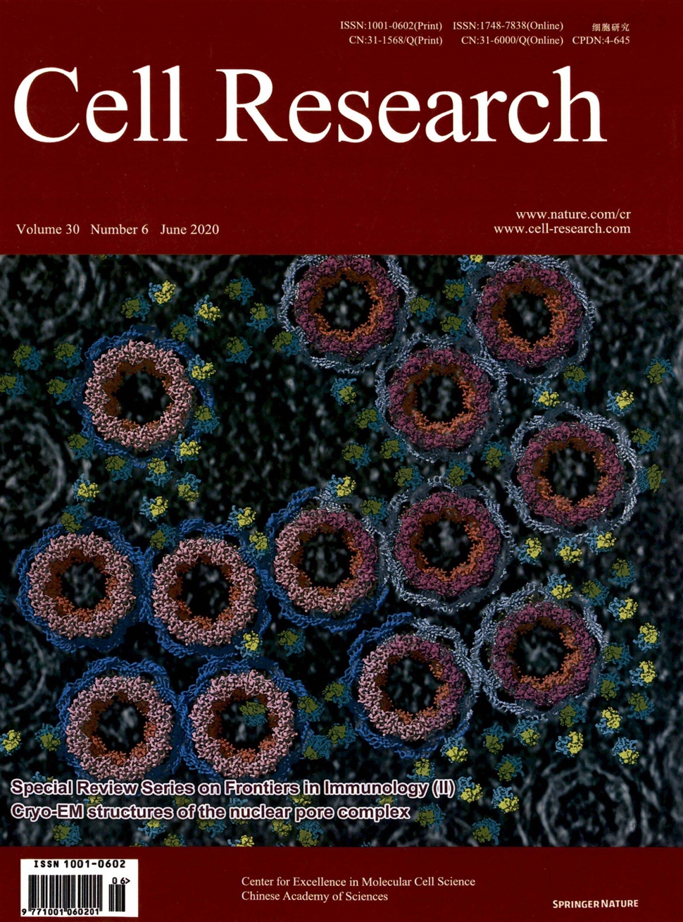 細胞研究：英文版