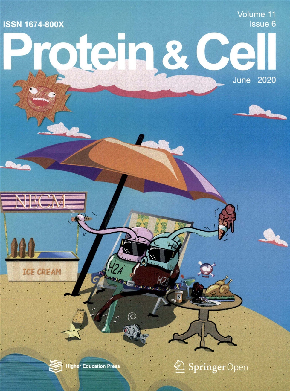 蛋白質與細胞：英文版