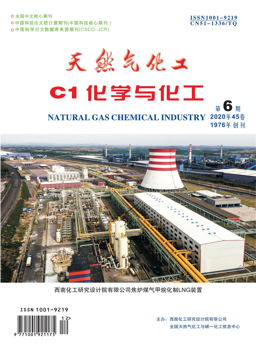 天然氣化工：C1化學與化工