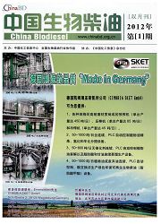 中國生物柴油