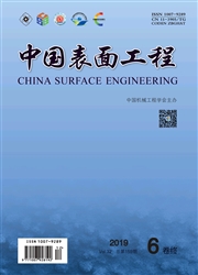 中國表面工程