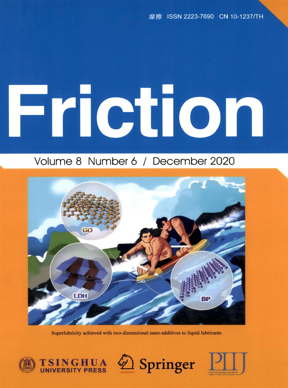 摩擦：英文版