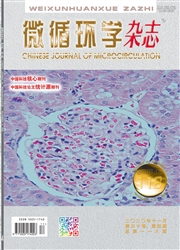 微循環學雜志