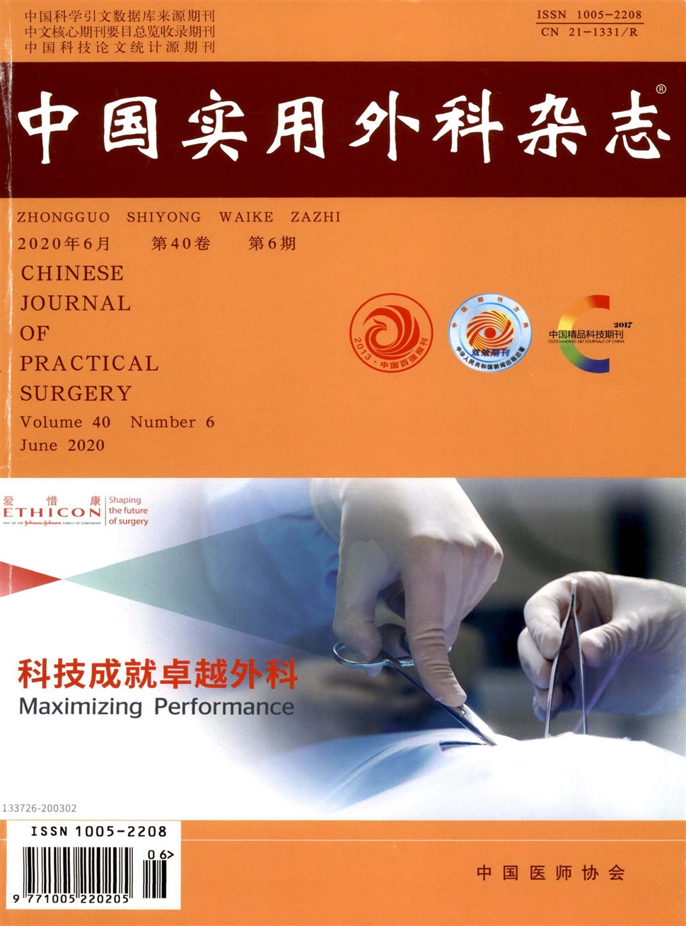 中國實用外科雜志