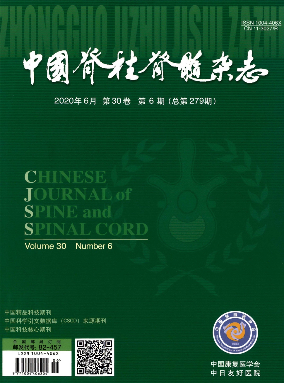 中國脊柱脊髓雜志