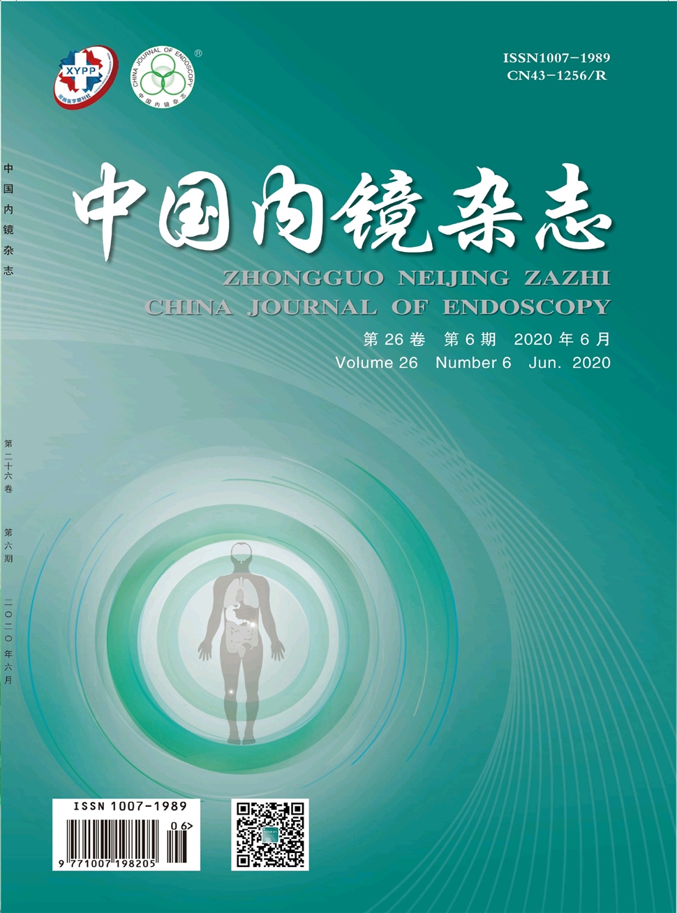 中國內鏡雜志